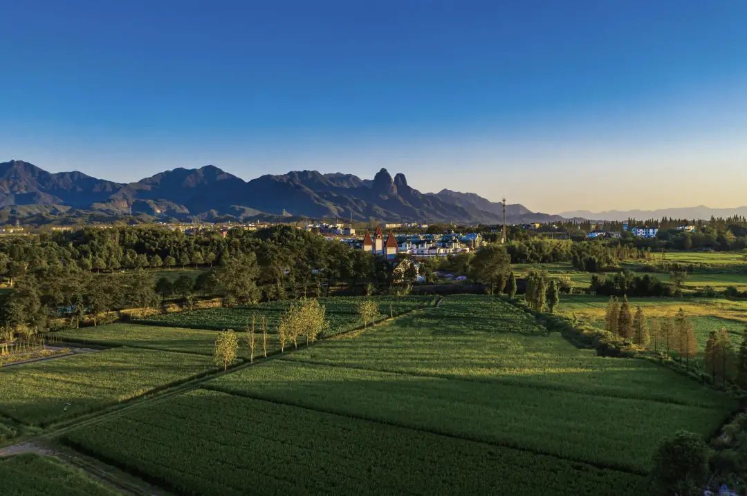 1647177060703767bJAu.jpg 3.jpg